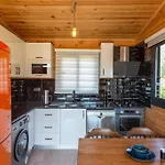 Zeytin Havuzlu Jakuzili Vilă Fethiye