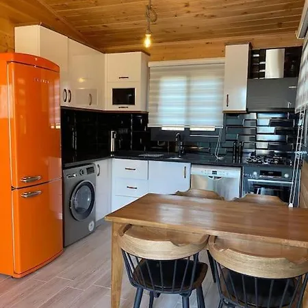 Willa Zeytin Havuzlu Jakuzili Fethiye