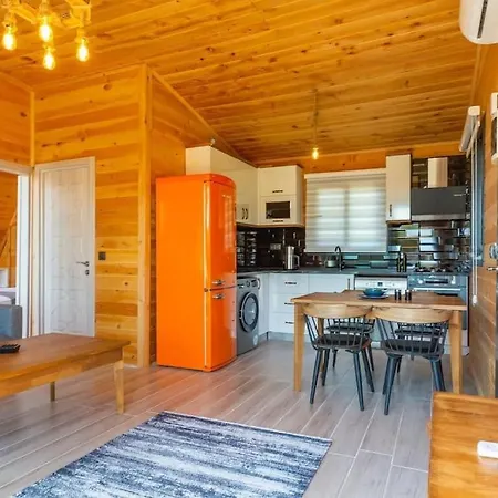 Zeytin Havuzlu Jakuzili 페티예