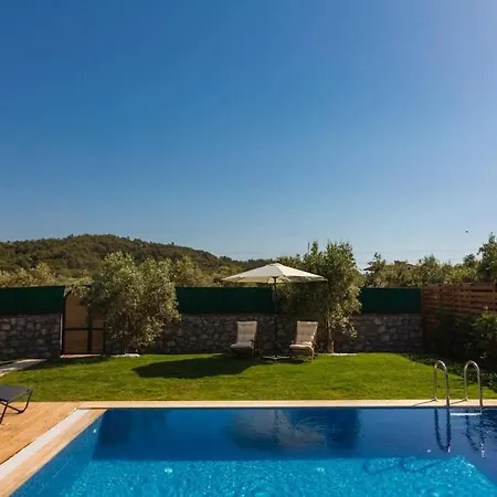 Villa Zeytin Havuzlu Jakuzili *