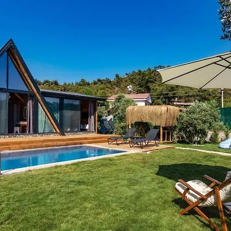 Villa Zeytin Havuzlu Jakuzili *