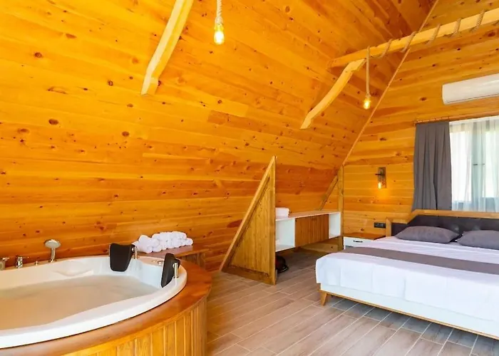 Zeytin Havuzlu Jakuzili Vilă *