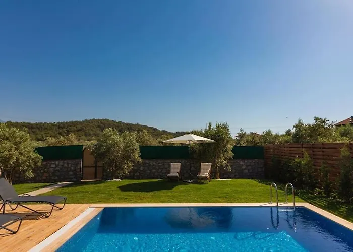 Vilă Zeytin Havuzlu Jakuzili *