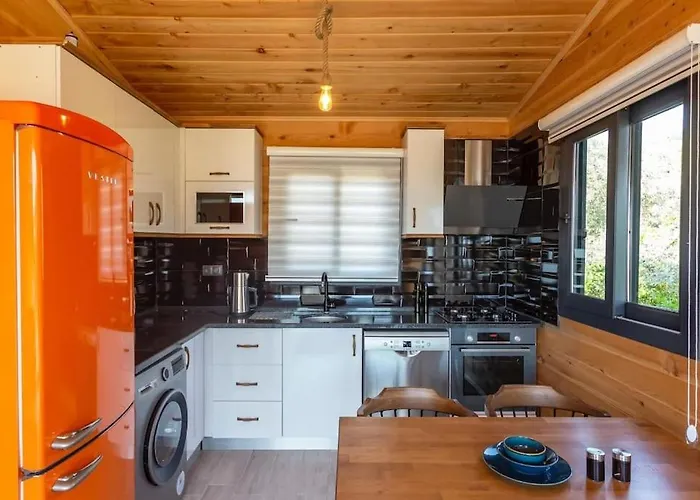 Zeytin Havuzlu Jakuzili Vilă Fethiye