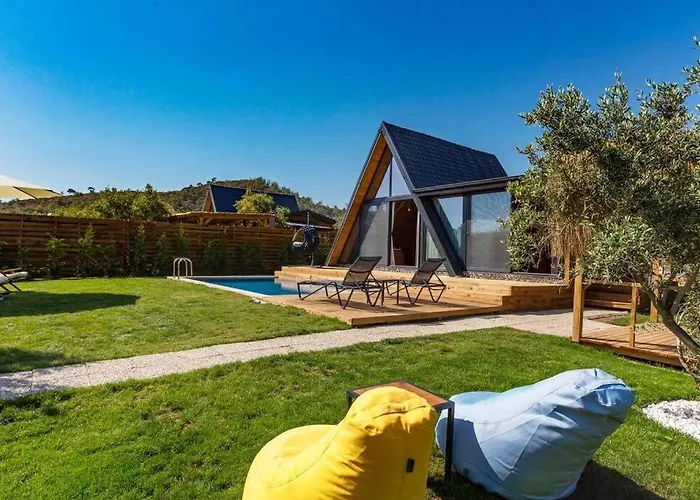 Zeytin Havuzlu Jakuzili Vila